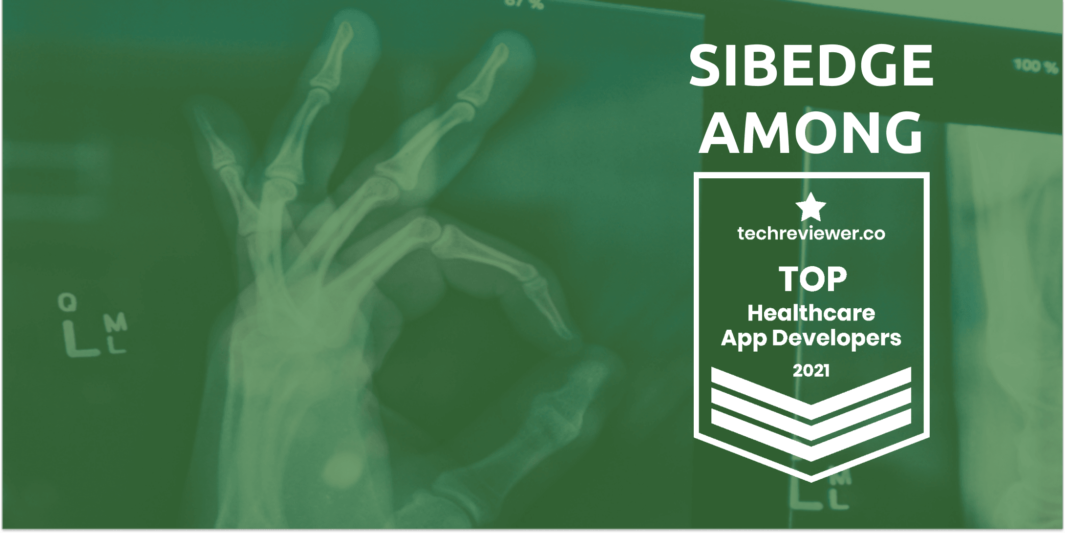 Sibedge Named Among Top Healthcare App Developers